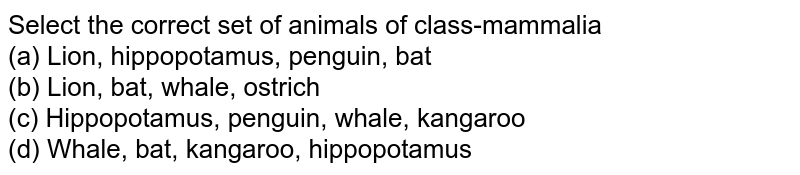 Select the correct set of animals of class-mammalia (a) Lion, hippopotamus, penguin, bat (b) Lion, bat, whale, ostrich (c) Hippopotamus, penguin, whale, kangaroo (d) Whale, bat, kangaroo, hippopotamus