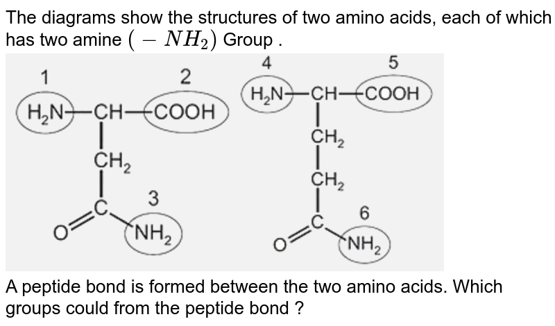 The diagrams show the structures of two amino acids, each of which has two amine (-NH_2) Group . A peptide bond is formed between the two amino acids. Which groups could from the peptide bond ?