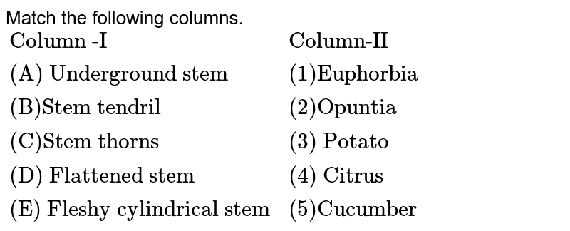 Match the following columns. {:("Column -I","Column-II"),("(A) Underground stem","(1)Euphorbia"),("(B)Stem tendril","(2)Opuntia"),("(C)Stem thorns","(3) Potato"),("(D) Flattened stem","(4) Citrus"),("(E) Fleshy cylindrical stem","(5)Cucumber"):}
