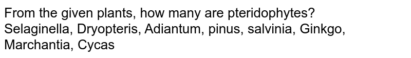 From the given plants, how many are pteridophytes? Selaginella, Dryopteris, Adiantum, pinus, salvinia, Ginkgo, Marchantia, Cycas