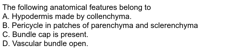 The following anatomical features belong to A. Hypodermis made by collenchyma. B. Pericycle in patches of parenchyma and sclerenchyma C. Bundle cap is present. D. Vascular bundle open.