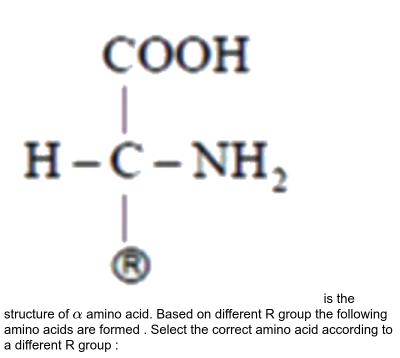 is the structure of alpha amino acid. Based on different R group the following amino acids are formed . Select the correct amino acid according to a different R group :