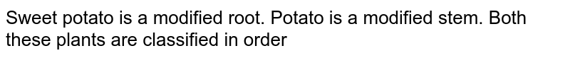 Sweet potato is a modified root. Potato is a modified stem. Both these plants are classified in order