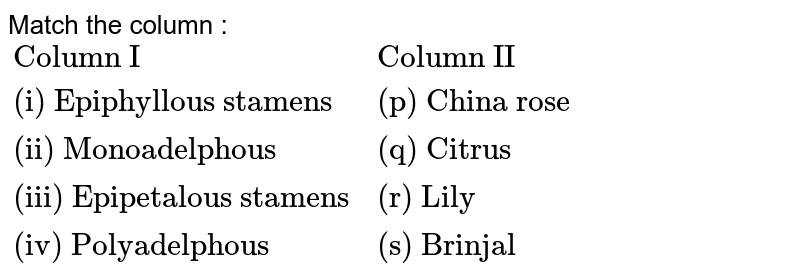 Match the column : {:("Column I","Column II"),("(i) Epiphyllous stamens","(p) China rose"),("(ii) Monoadelphous","(q) Citrus"),("(iii) Epipetalous stamens","(r) Lily"),("(iv) Polyadelphous","(s) Brinjal"):}