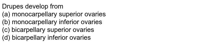 Drupes develop from (a) monocarpellary superior ovaries (b) monocarpellary inferior ovaries (c) bicarpellary superior ovaries (d) bicarpellary inferior ovaries
