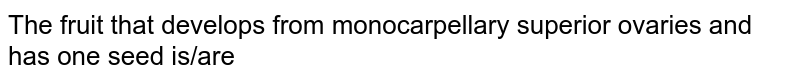 The fruit that develops from monocarpellary superior ovaries and has one seed is/are