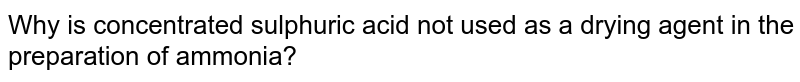 Why is concentrated sulphuric acid not used as a drying agent in the preparation of ammonia?