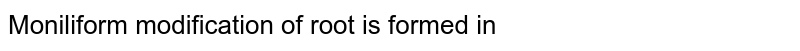 Moniliform modification of root is formed in
