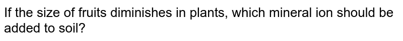If the size of fruits diminishes in plants, which mineral ion should be added to soil?