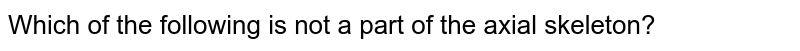 Which of the following bones is not part of the axial skeleton ?