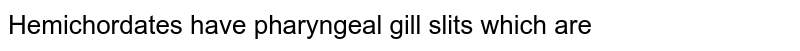 Hemichordates have pharyngeal gill slits which are