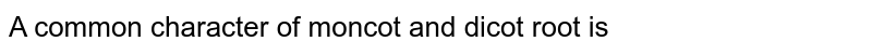 A common character of monocot and dicot roots is