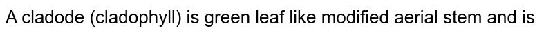 A cladode (cladophyll) is green leaf like modified aerial stem and is
