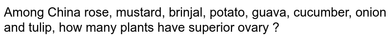 Among china rose, mustard, Brinjal, potato, guava,cucumber onion and tulip, how many plants have superior ovary