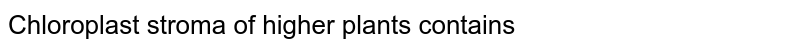 Chloroplast stroma of higher plants contains