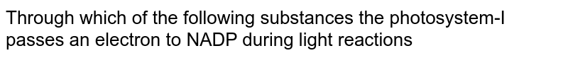 Through which of the following substances the photosystem-I passes an electron to NADP during light reactions