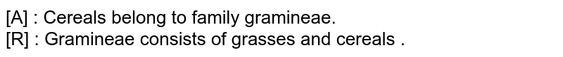 [A] : Cereals belong to family gramineae. [R] : Gramineae consists of grasses and cereals .