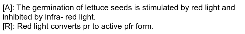 [A]: The germination of lettuce seeds is stimulated by red light and inhibited by infra- red light. [R]: Red light converts pr to active pfr form.