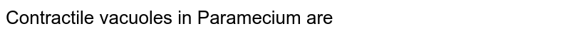 Contractile vacuoles in Paramecium are