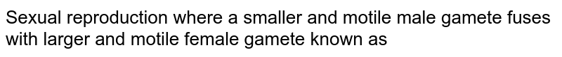 Sexual reproduction where a smaller and motile male gamete fuses with larger and motile female gamete known as