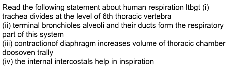 Read the following statement about human respiration ltbgt (i) trachea divides at the level of 6th thoracic vertebra (ii) terminal bronchioles alveoli and their ducts form the respiratory part of this system (iii) contractionof diaphragm increases volume of thoracic chamber doosoven trally (iv) the internal intercostals help in inspiration