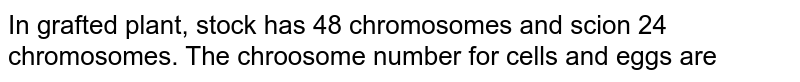 In a grafted plant, stock has 48 chromosomes while scion has 24 chromosomes. The chromosome number for root cells and eggs are a. 48 and 24 b. 24 and 24 c. 24 and 12 d. 48 and 12