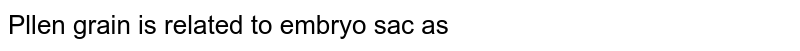 Pollen grain is related to embryo sac as