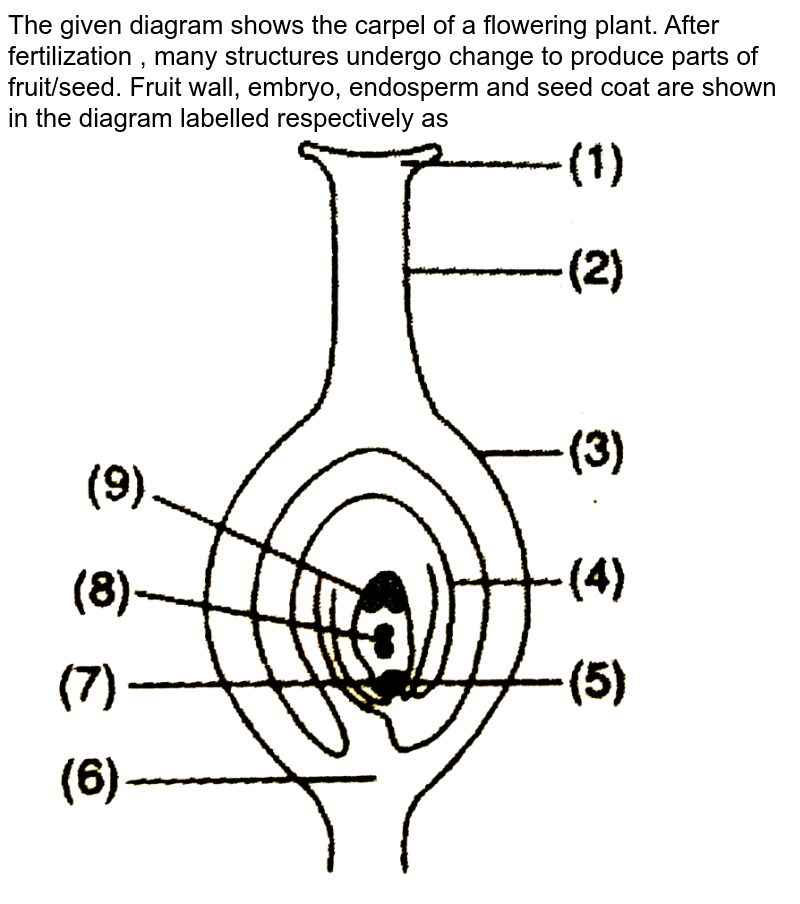 The given diagram shows the carpel of a flowering plant. After fertilization , many structures undergo change to produce parts of fruit/seed. Fruit wall, embryo, endosperm and seed coat are shown in the diagram labelled respectively as