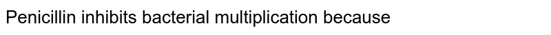 Penicillin inhibits bacterial multiplication because