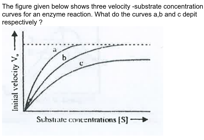 The figure given below shows three velocity -substrate concentration curves for an enzyme reaction. What do the curves a,b and c depit respectively ?