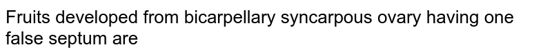 Fruit developed from bicarpellary syncarpous ovary having a false septum is