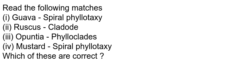 Read the following matches (i) Guava - Spiral phyllotaxy (ii) Ruscus - Cladode (iii) Opuntia - Phylloclades (iv) Mustard - Spiral phyllotaxy Which of these are correct ?