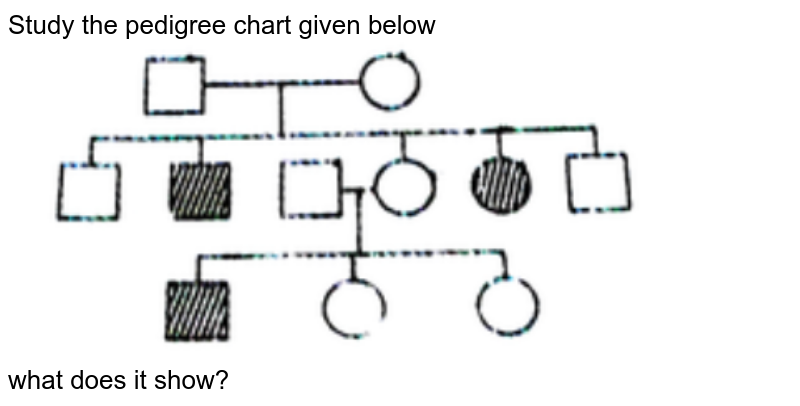 study-the-pedigree-chart