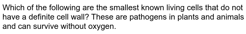Which of the following are the smallest known living cells that do not have a definite cell wall, are pathogenic in plants and animals and can survive without oxygen?