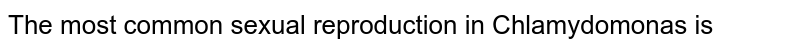 The most common sexual reproduction in Chlamydomonas is