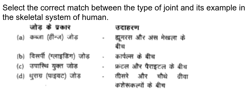 Select the correct match between the types of joints and their examples in the skeletal system of human.