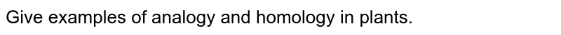 Give examples of analogy and homology in plants.