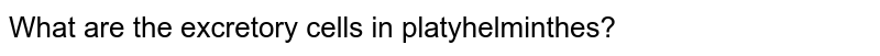 What are the excretory cells in platyhelminthes?