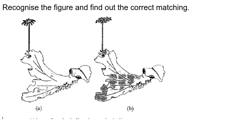 Recognise the figure and find out the correct matching.  <br> <img src="https://doubtnut-static.s.llnwi.net/static/physics_images/BRL_NEET_BIO_XII_C01_E01_035_Q01.png" width="80%"> 