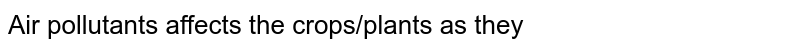 Air pollutants affects the crops/plants as they