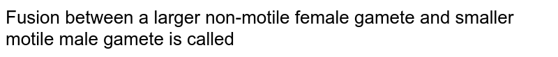 Fusion between a larger non-motile female gamete and smaller motile male gamete is called