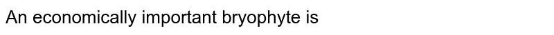 An economically important bryophyte is