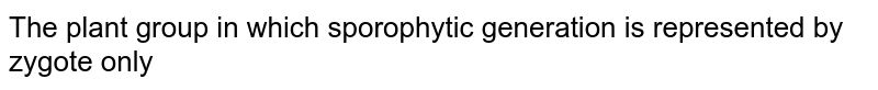 The plant group in which sporophytic generation is represented by zygote only