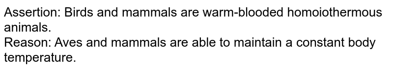 Which animal group ( warm blooded/ not poikilothermic) maintains Which animal group ( warm blooded/ not poikilothermic) maintains