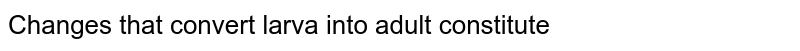 Changes that convert larva into adult constitute