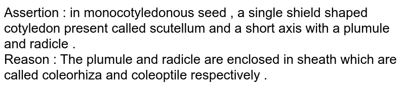 Assertion : in monocotyledonous seed , a single shield shaped cotyledon present called scutellum and a short axis with a plumule and radicle . Reason : The plumule and radicle are enclosed in sheath which are called coleorhiza and coleoptile respectively .