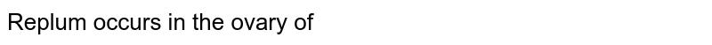 Replum occurs in the ovary of