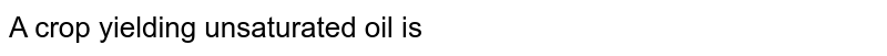 A crop yielding unsaturated oil is