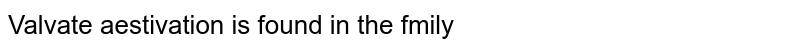 Valvate aestivation is found in the fmily
