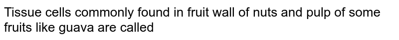 Tissue cells commonly found in fruit wall of nuts and pulp of some fruits like guava are called